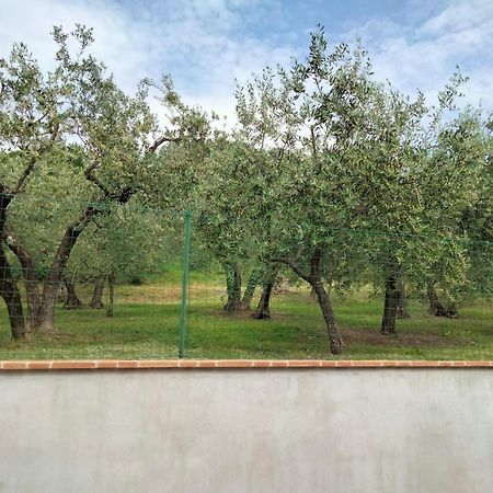 Lombardi Rita - Colle S. Martino Apartment Assisi Bagian luar foto