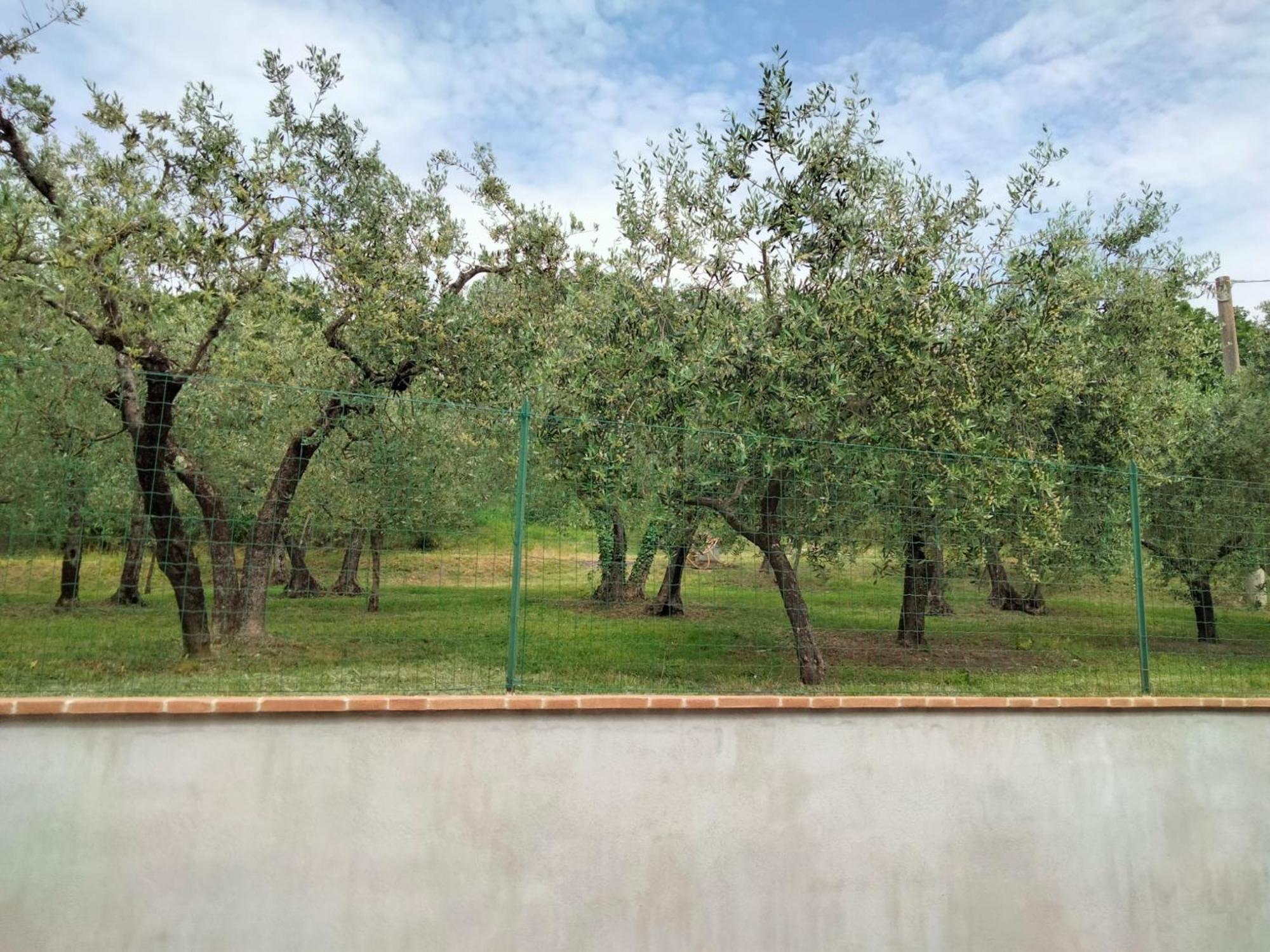 Lombardi Rita - Colle S. Martino Apartment Assisi Bagian luar foto