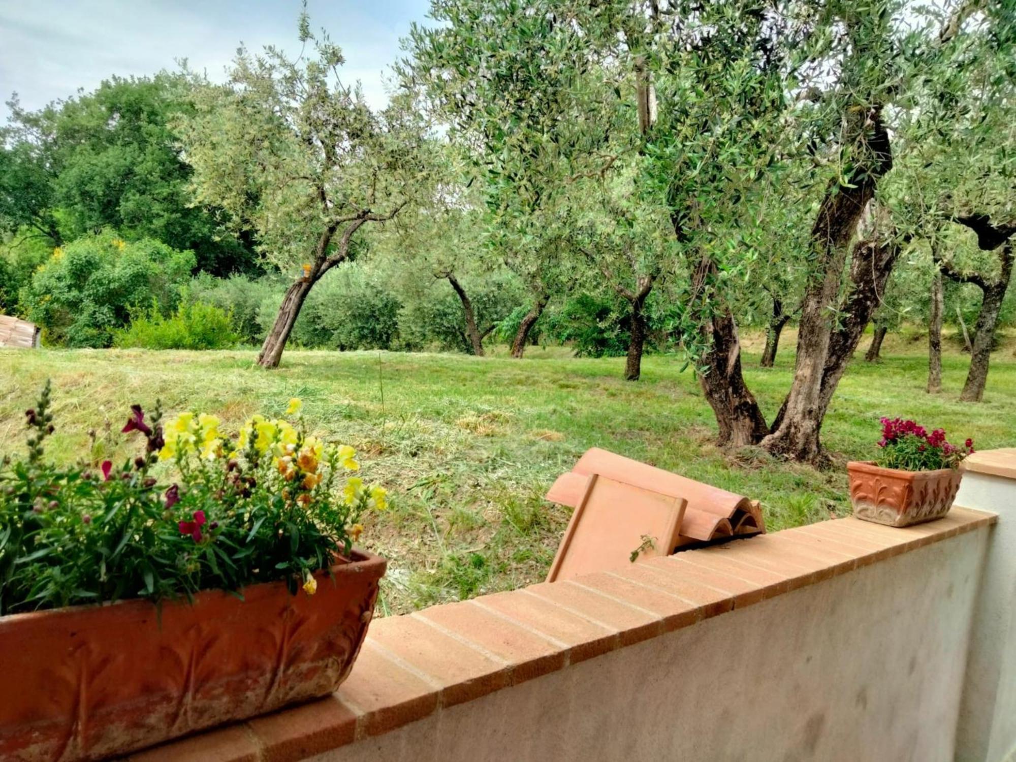 Lombardi Rita - Colle S. Martino Apartment Assisi Bagian luar foto